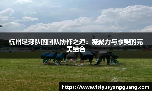 杭州足球队的团队协作之道：凝聚力与默契的完美结合
